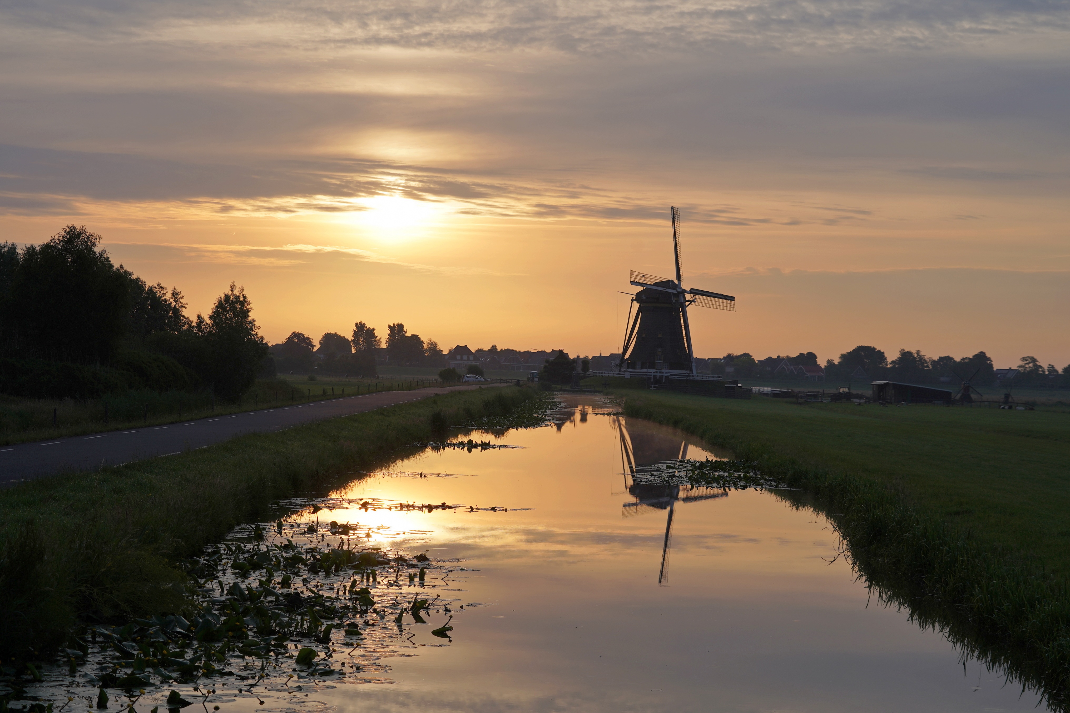 Dagelijkse afbeelding