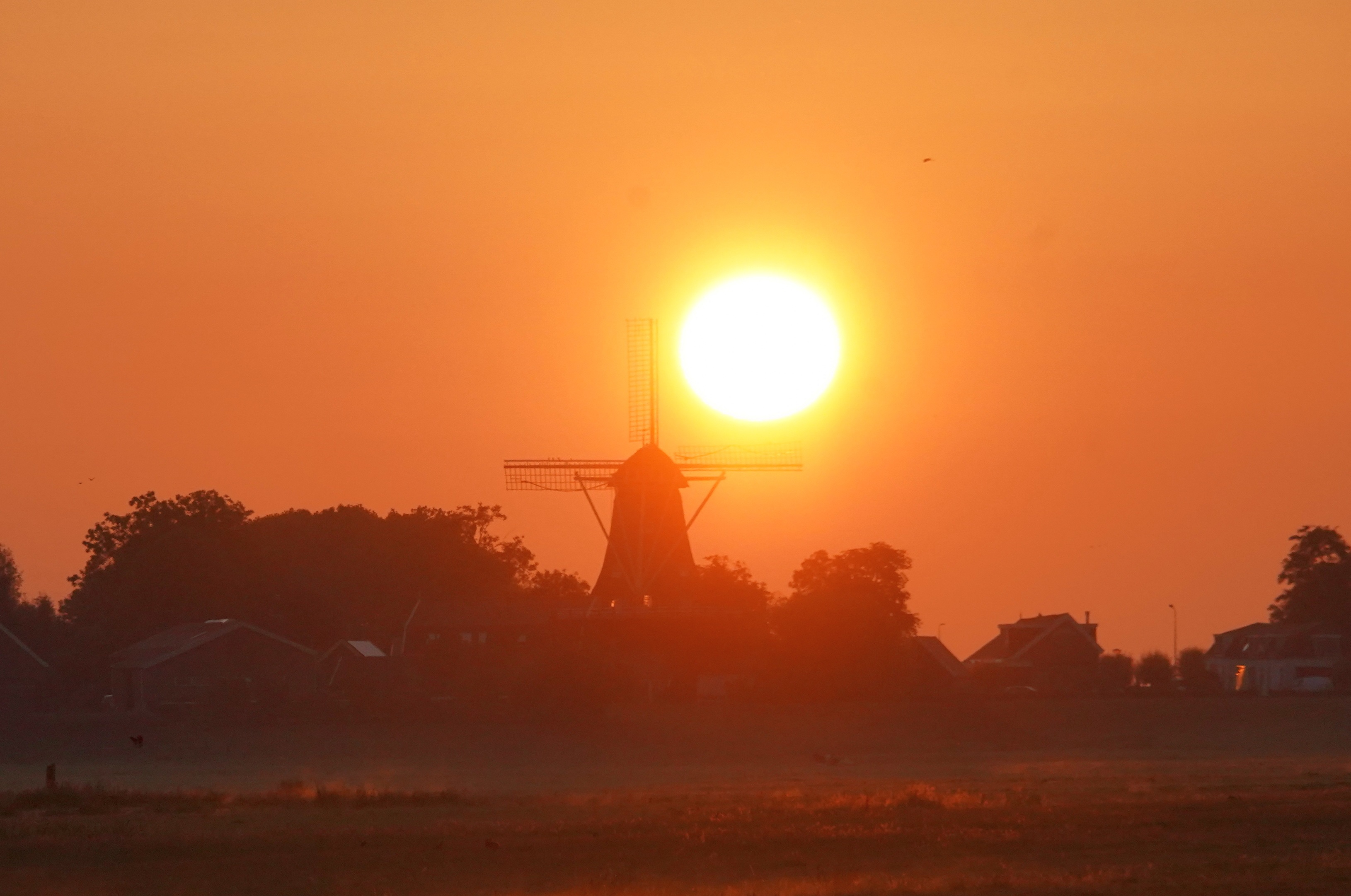 Dagelijkse afbeelding